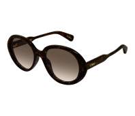 Chloe sunglasses CH0221S 002 55 19 Havana - 22000 - 27500