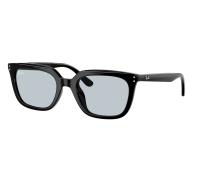 Ray-Ban Sunglasses RB4439D 901/87