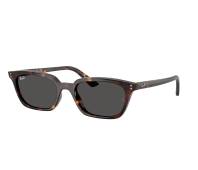 Ray-Ban Sunglasses Zaya RB4456 667781