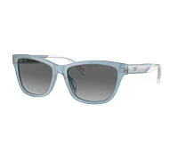 Emporio Armani Sunglasses EA4227U 609611 56-17