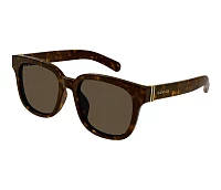 Gucci GG1512SK 001: Buy Online | Visionet