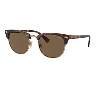 Polo Ralph Lauren Sunglasses PH4217 613773 53-21