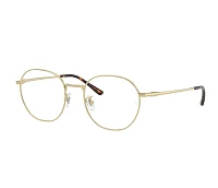 Ray-Ban Glasses RX8778D 1244