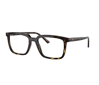 Ray-Ban eyeglasses RX7239 2012 52-18