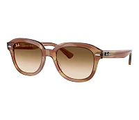 Ray-Ban Sunglasses Erik RB4398 667571