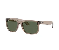 Ray-Ban Sunglasses RB4165 691871 51-16
