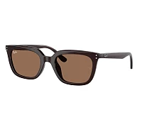 Ray-Ban Sunglasses RB4439D 623173 54-21