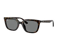 Ray-Ban Sunglasses RB4439D 710/87 54-21