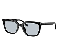 Ray-Ban Sunglasses RB4439D 901/72 54-21