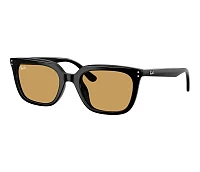Ray-Ban Sunglasses RB4439D 623173