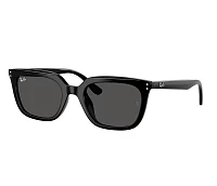 Ray-Ban Sunglasses RB4439D 901/87 54-21