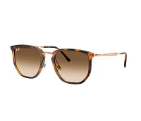 Ray-Ban Sunglasses RB4451 630631