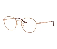 Ray-Ban Glasses RX8778D 1244