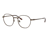 Ray-Ban Eyeglasses: Buy Online | Visionet