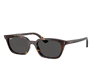 Ray-Ban Sunglasses Zaya RB4456 667781