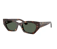 Ray-Ban Sunglasses RB4430 135971 52-22