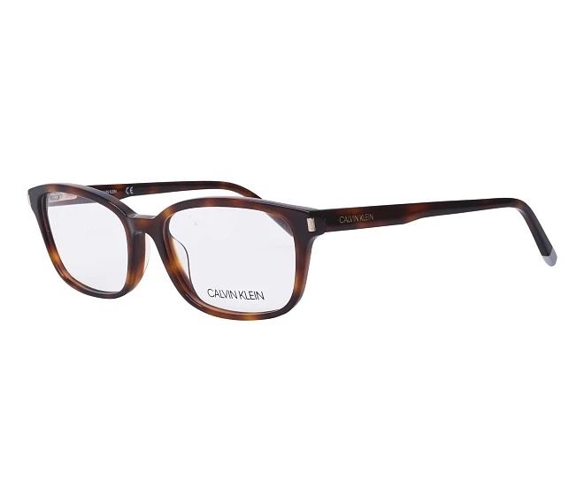 Calvin Klein eyeglasses CK6007 214 53 16 Havana