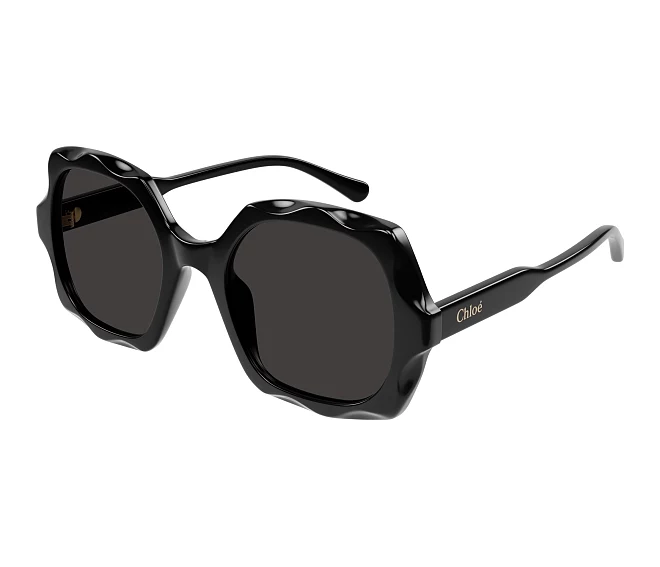 Chloe sunglasses CH0226S 005 53 22 Black