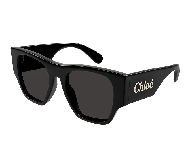 Chloe sunglasses CH0233S 001 53 20 Black