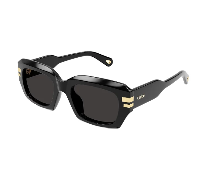 Chloe sunglasses CH0256S 001 53 20 Black