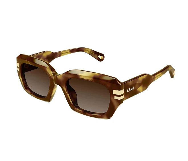 Chloe sunglasses CH0256S 002 53 20 Havana