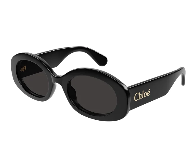 Chloe sunglasses CH0258S 001 53 22 Black