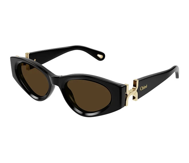 Chloe sunglasses CH0259S 001 52 19 Black
