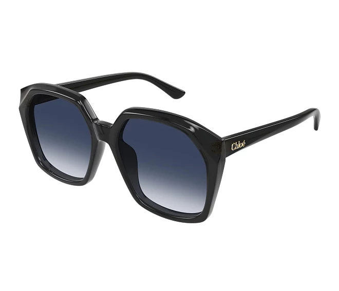 Chloe sunglasses CH0280S 002 57 17 Black