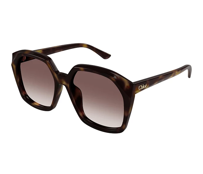 Chloe sunglasses CH0280S 006 57 17 Havana