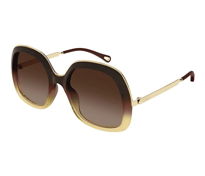 Chloe sunglasses CH0327S 006 53 19 Brown