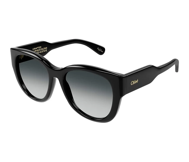 Chloe sunglasses CH0192S 001 55 18 Black