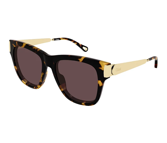 Chloe sunglasses CH0349S 003 54 18 Havana