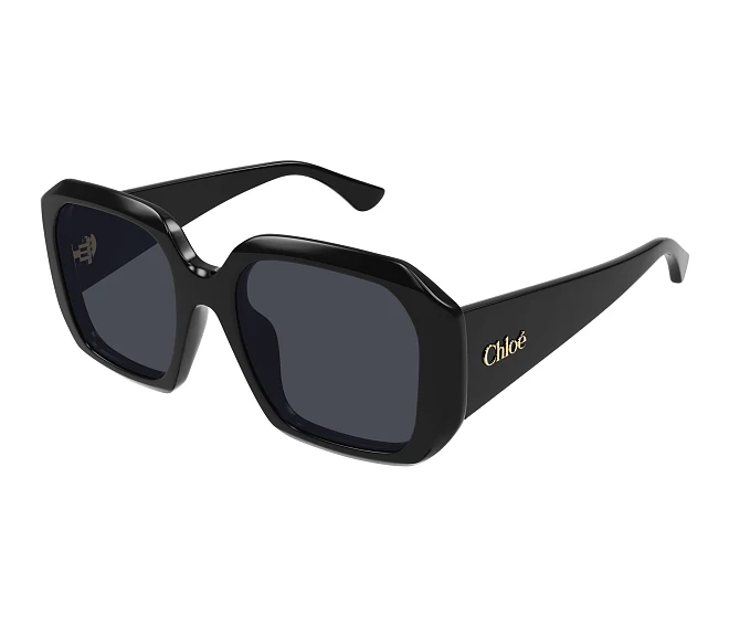 Chloe sunglasses CH0300S 001 54 20 Black