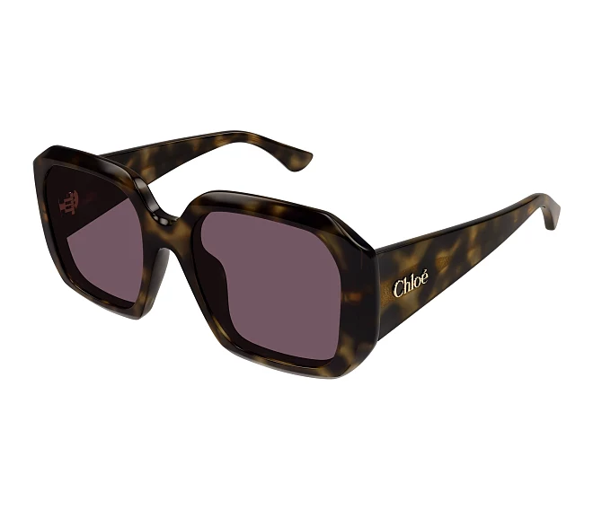 Chloe sunglasses CH0300S 002 54 20 Havana