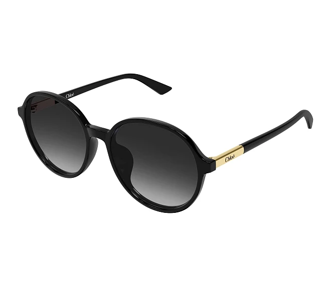 Chloe sunglasses CH0365SK 001 57 17 Black