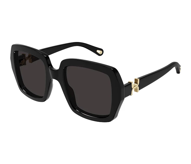 Chloe sunglasses CH0301S 001 52 22 Black
