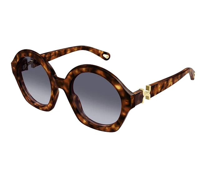 Chloe sunglasses CH0302S 002 53 23 Havana