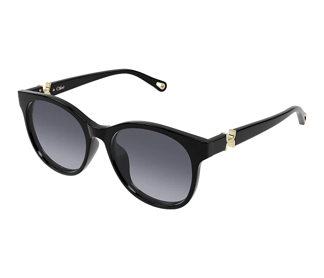 Chloe sunglasses CH0375SK 001 56 18 Black