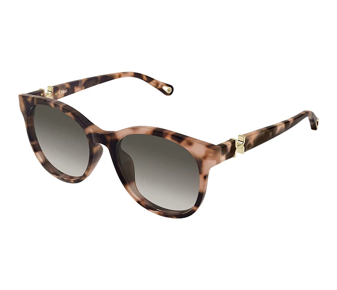 Chloe sunglasses CH0375SK 002 56 18 Havana