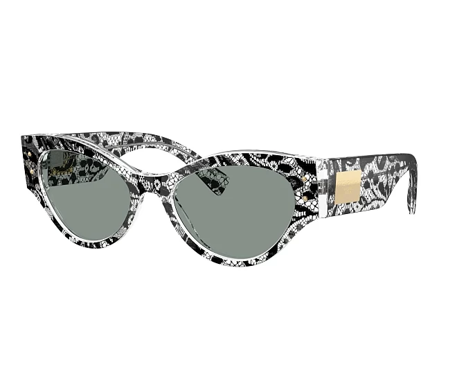 Dolce & Gabbana sunglasses DG4480 3287/1 53 19 Black