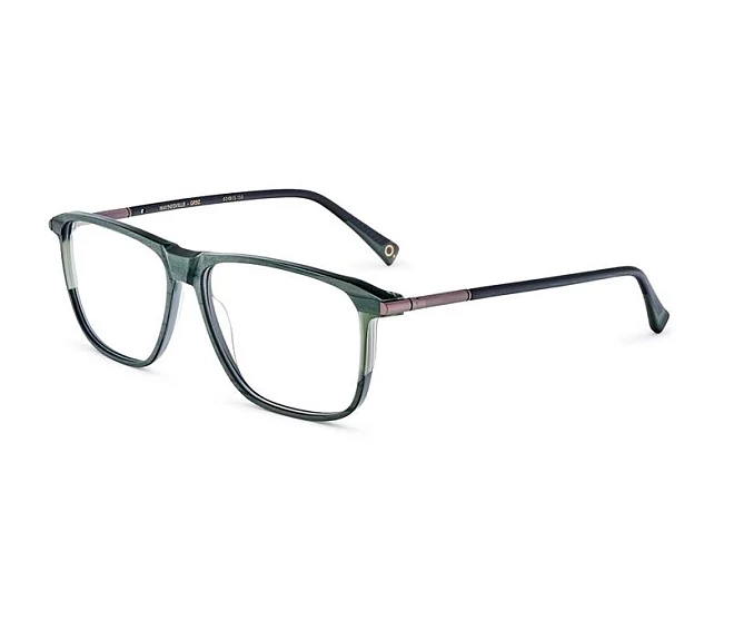 Etnia Barcelona eyeglasses WAYNESVILLE GRBZ 60 15 Green cactus