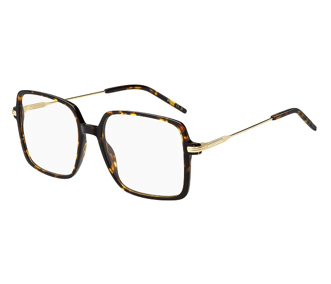 Hugo Boss eyeglasses BOSS-1735 LVL 54 17 BrownGold