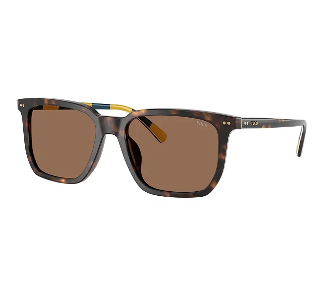 Polo Ralph Lauren sunglasses PH4224U 500373 55 18 Havana