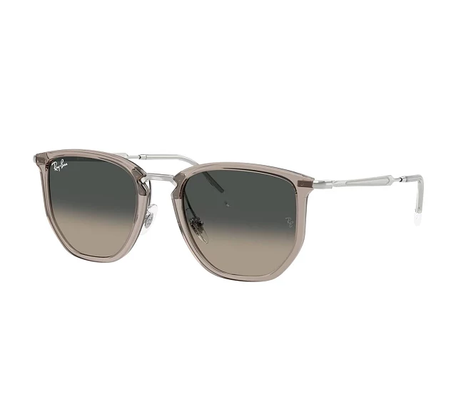 Ray-Ban sunglasses RB4451 680271 50 20 Grey