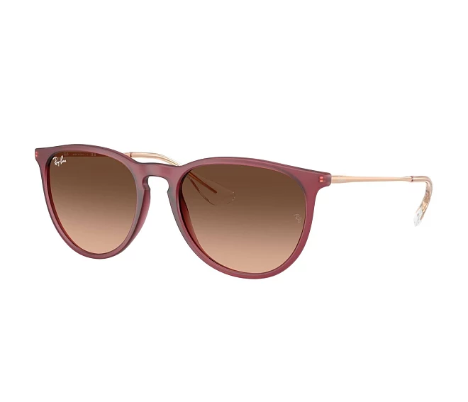 Ray-Ban sunglasses RB4171 6815A5 54 18 Purple