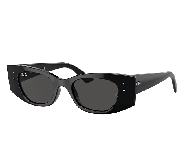 Ray-Ban sunglasses RB4427 667787 49 20 Black