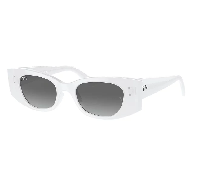 Ray-Ban sunglasses RB4427 675911 49 20 White