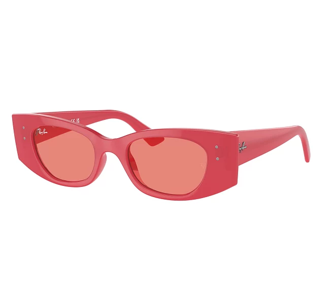 Ray-Ban sunglasses RB4427 676084 49 20 Red