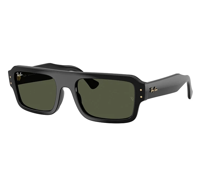 Ray-Ban sunglasses RB4454 667731 53 20 Black