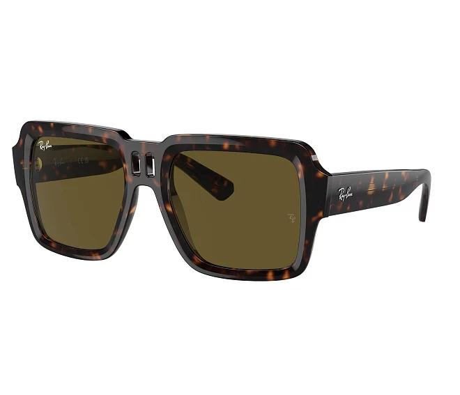 Ray-Ban sunglasses RB4408 135973 54 19 Havana
